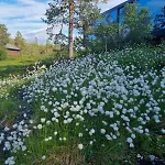 Modern At Blefjell