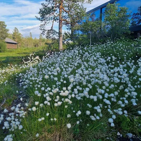 Modern At Blefjell Holiday home Svene