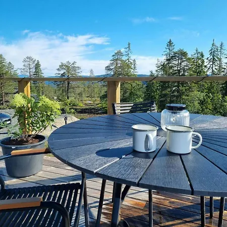 Modern At Blefjell Svene