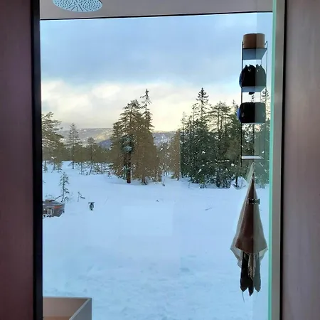 Semesterbostad Modern At Blefjell Svene