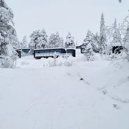 Modern At Blefjell * Svene