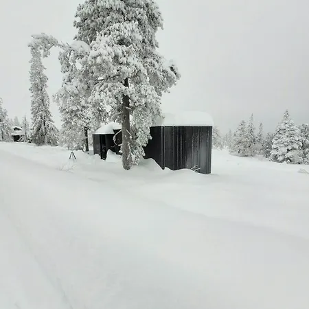 Modern At Blefjell * Svene