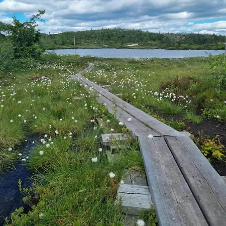 Modern At Blefjell *