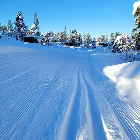 Modern At Blefjell *