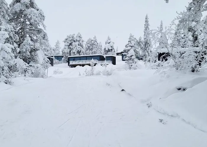 Modern At Blefjell * Svene