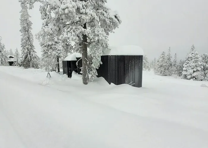 Modern At Blefjell * Svene