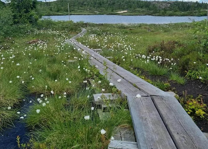 Modern At Blefjell *