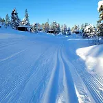 Modern At Blefjell *